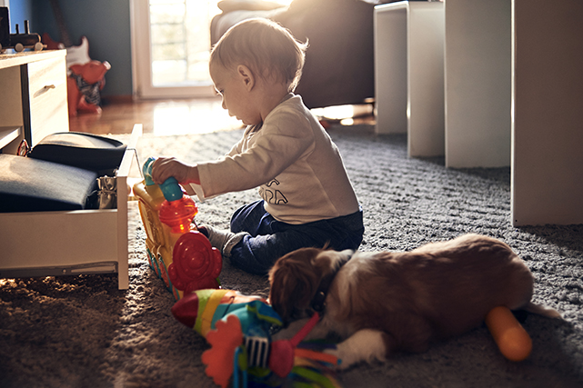 Uma criança brinca com brinquedos coloridos, com um cachorro deitado ao seu lado, enquanto uma luz entra pelo fundo.